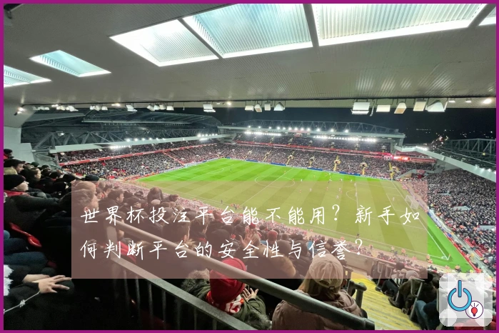 世界杯投注平台能不能用？新手如何判断平台的安全性与信誉？