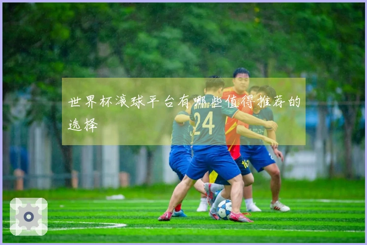 世界杯滚球平台有哪些值得推荐的选择